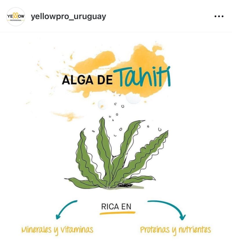 EASY LONG ACONDICIONADOR - Imagen 2