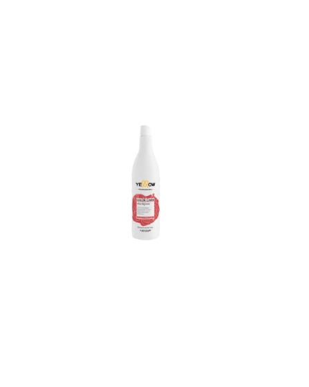 COLOR CARE CHAMPU